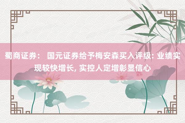 蜀商证券： 国元证券给予梅安森买入评级: 业绩实现较快增长, 实控人定增彰显信心