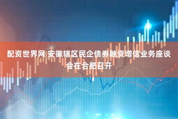 配资世界网 安徽辖区民企债券融资增信业务座谈会在合肥召开