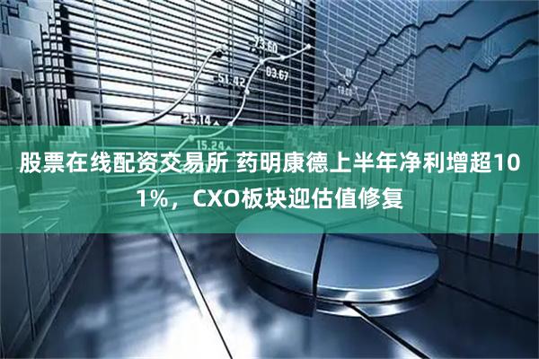 股票在线配资交易所 药明康德上半年净利增超101%，CXO板块迎估值修复